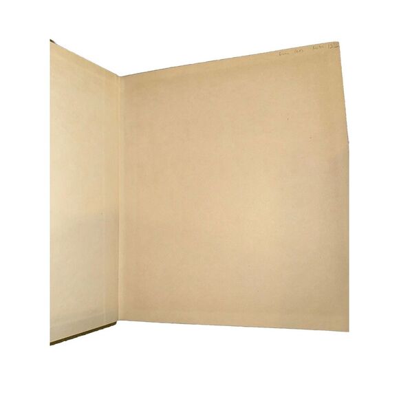 Guns, Pistols, Revolvers. Hand-firarms from the 14th to the 19th centuries. Phot - Picture 6 of 6